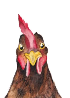 Fritsy Postkaart Kip