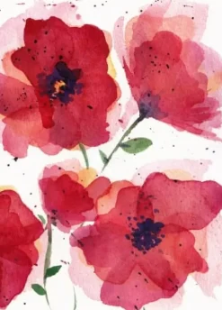 Fritsy Postkaart Klaproos Bloemen