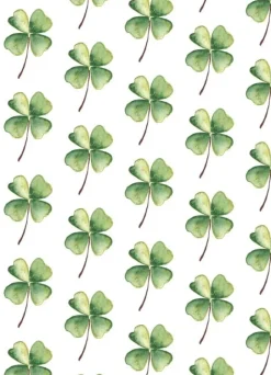 Fritsy Postkaart Klavertje Vier