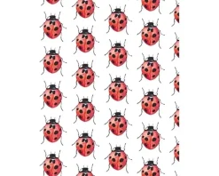 Fritsy Postkaart Lieveheersbeestjes