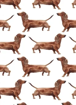 Fritsy Postkaart Teckels