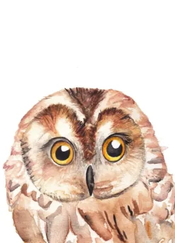 Fritsy Postkaart Uil