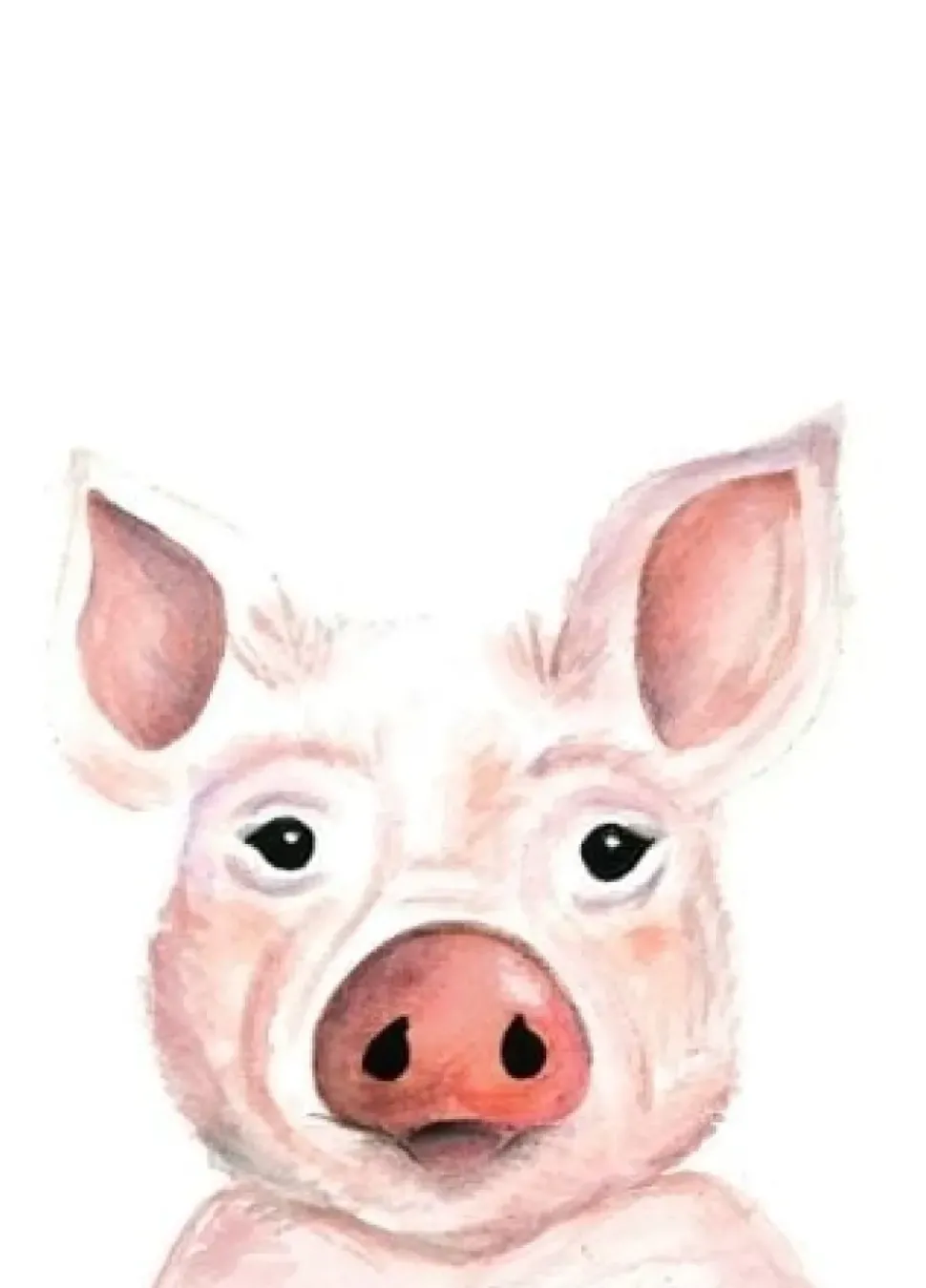 Fritsy Postkaart Varken