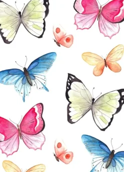 Fritsy Postkaart Vlinders