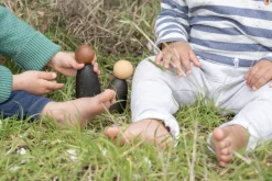 Grapat Adult Nins Light Wood 18-181B