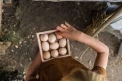 Grapat Houten Opbergkistje 22-239