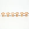 Grapat Houten Paddenstoelen Natuurlijk set 6-delig 16-153