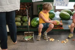 Grapat Mandala Pompoenen 23-252