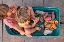 Grapat Mandala Pompoenen 23-252