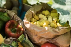 Grapat Mandala Tulip Hout 36-delig 22-240