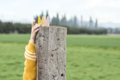 Grapat Sticks Houten Kabouters 18-delig 18-178