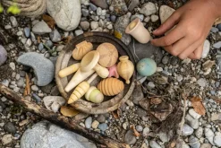 Grapat Wonders 22-233