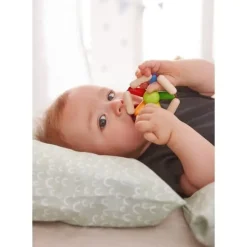 Haba Grijpfiguur Kleurendraaien