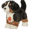 Hermann Teddy Knuffel Berner Sennenhond Puppy