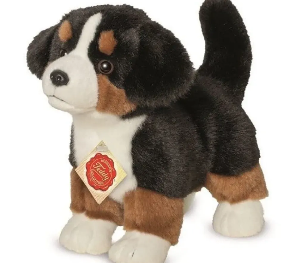 Hermann Teddy Knuffel Berner Sennenhond Puppy