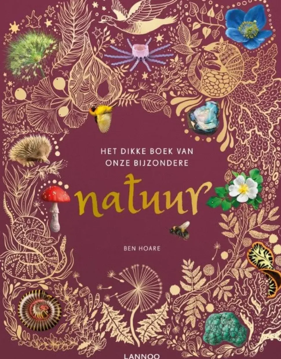 Het dikke boek van onze bijzondere natuur