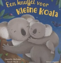 Hoe groot is de wereld?