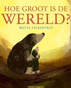 Hoe groot is de wereld?