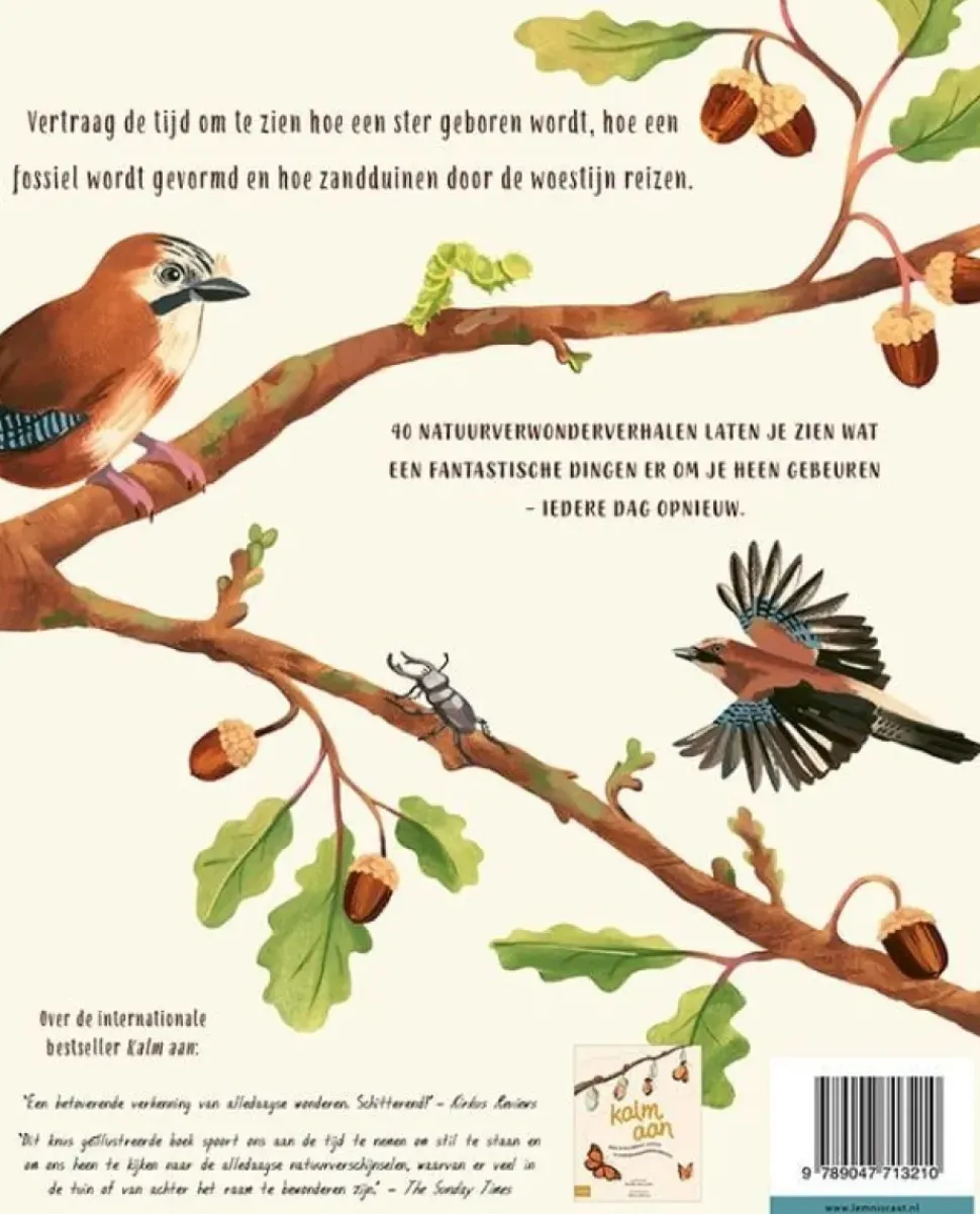 Kalm aan … en kijk om je heen