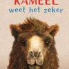 Kameel weet het zeker