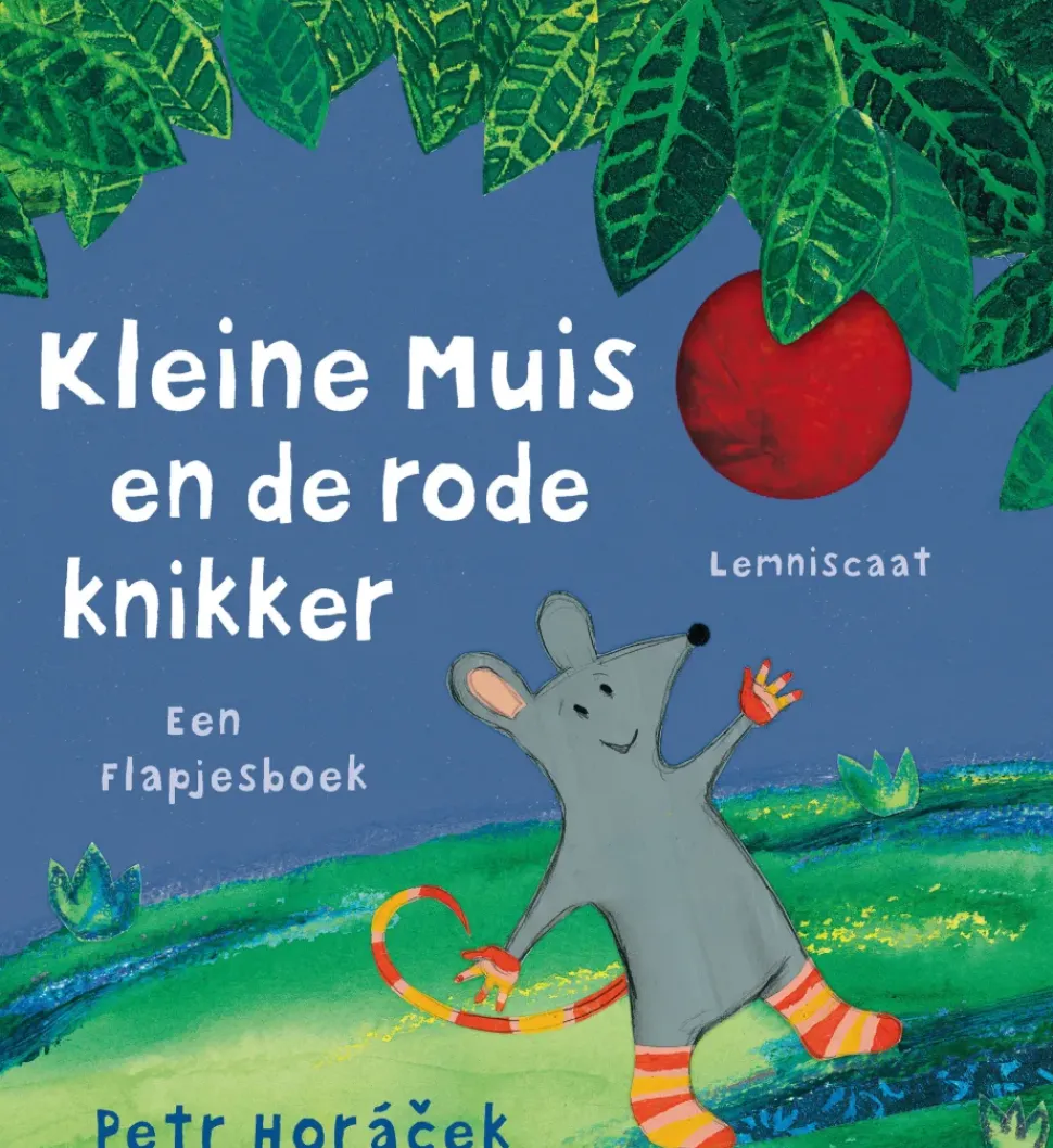 Kleine Muis en de rode knikker