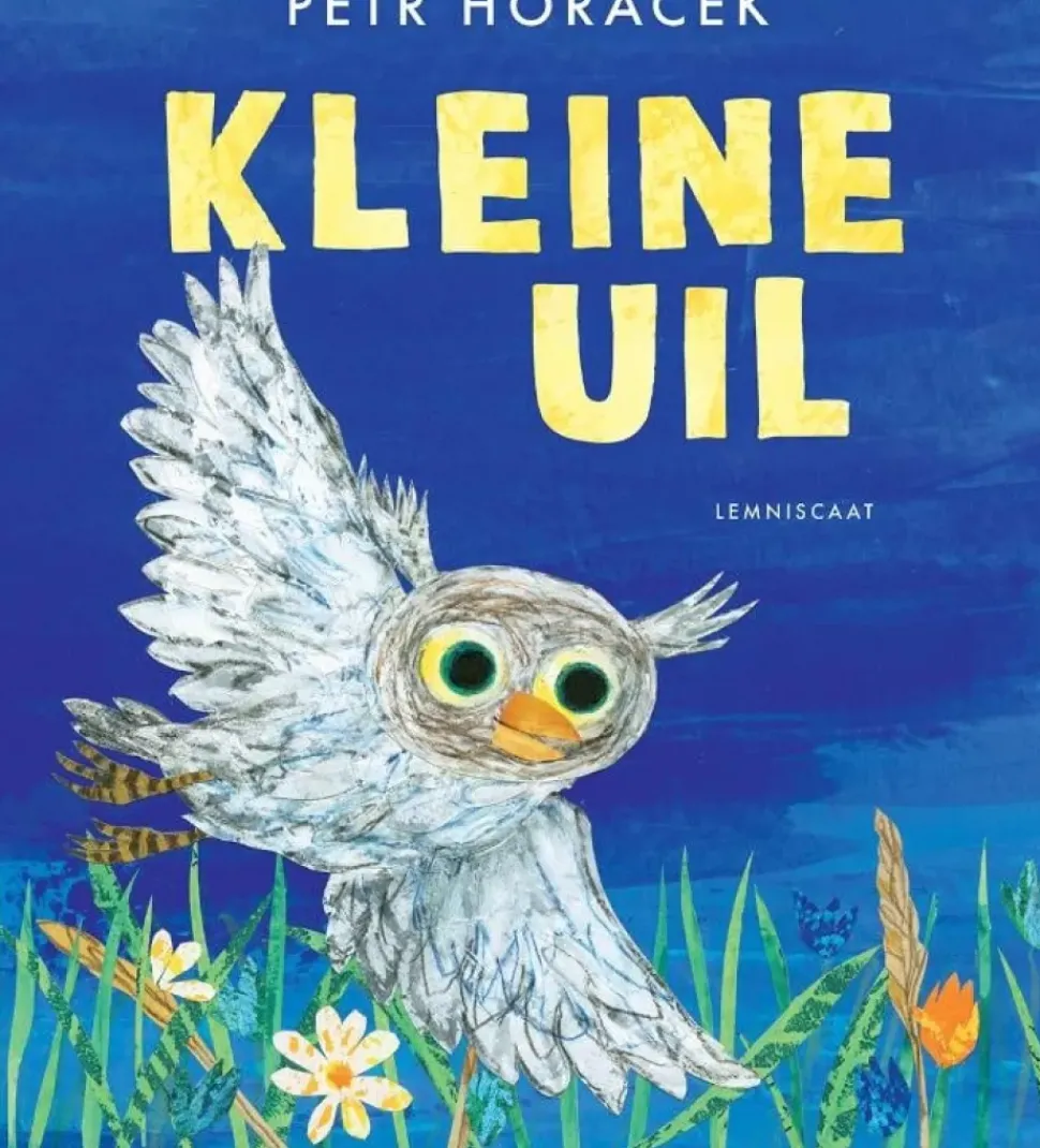 Kleine Uil