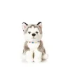 Knuffel Hond Husky Puppy