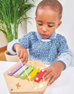Le Toy Van Xylofoon Activiteiten Paneel