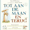 Lemniscaat Tot aan de maan en terug