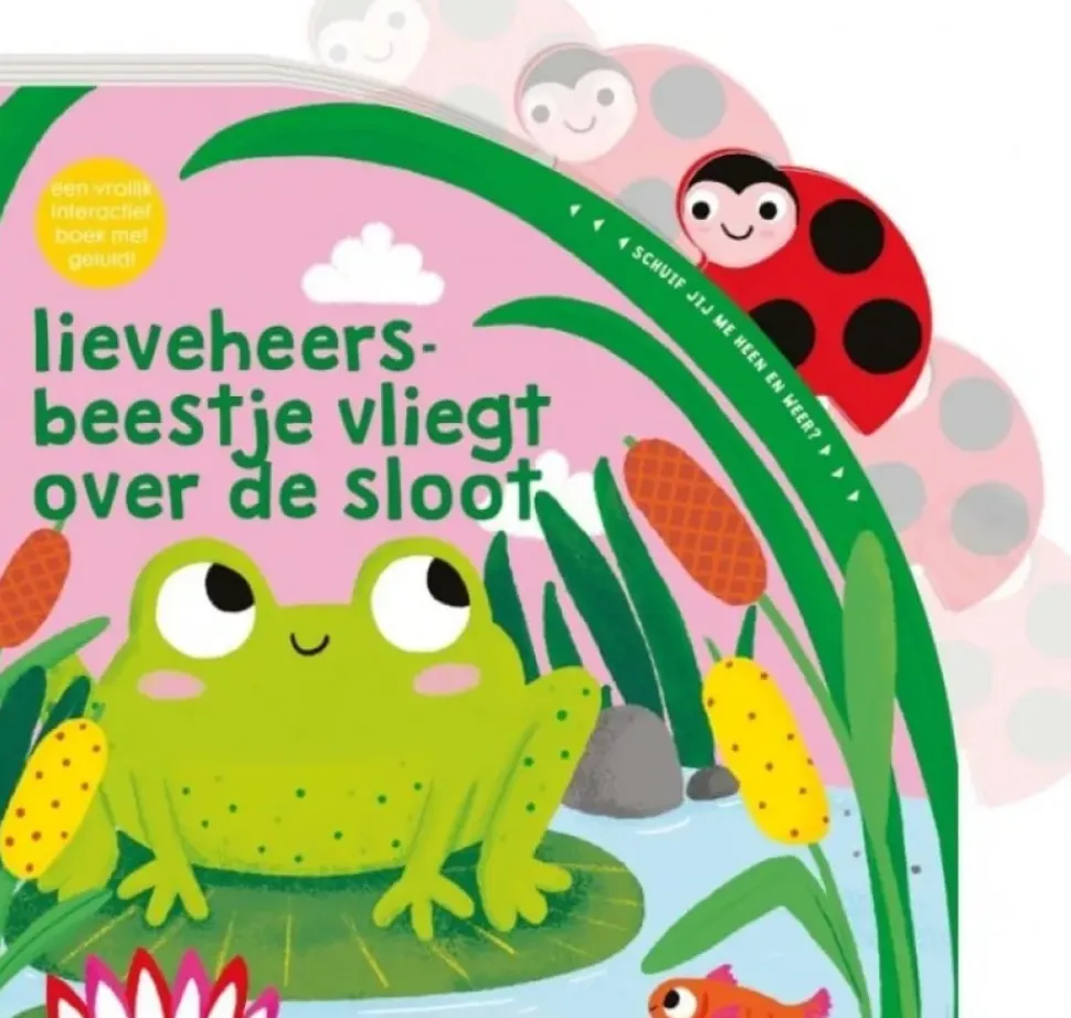 Lieveheersbeestje vliegt over de sloot