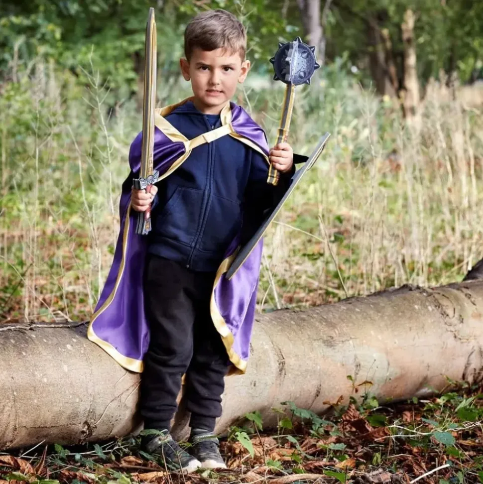Liontouch Ridder Gouden Adelaar Schild