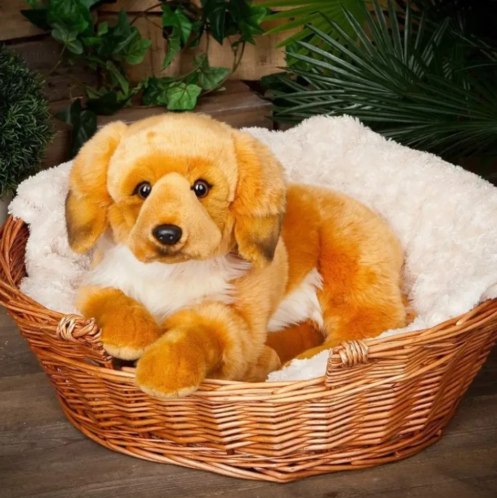 Living Nature Knuffel Hond Golden Retriever 60 cm