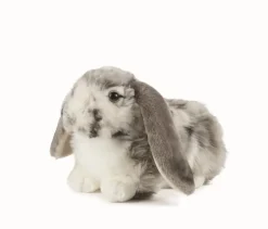 Living Nature Knuffel Konijn Nederlandse Hangoor Dwerg Grijs