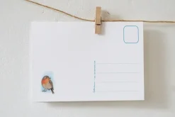 Lotte Drouen Ansichtkaart Pompoen zoeken