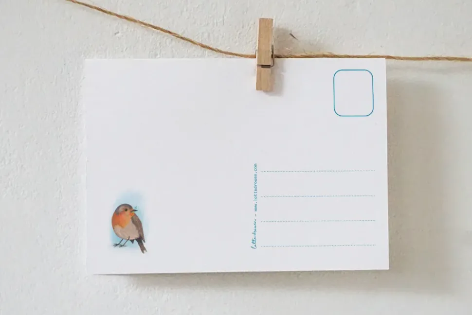 Lotte Drouen Ansichtkaart Pompoen zoeken