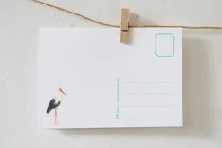 Lotte Drouen Ansichtkaart Welkom Kleintje! Geboorte