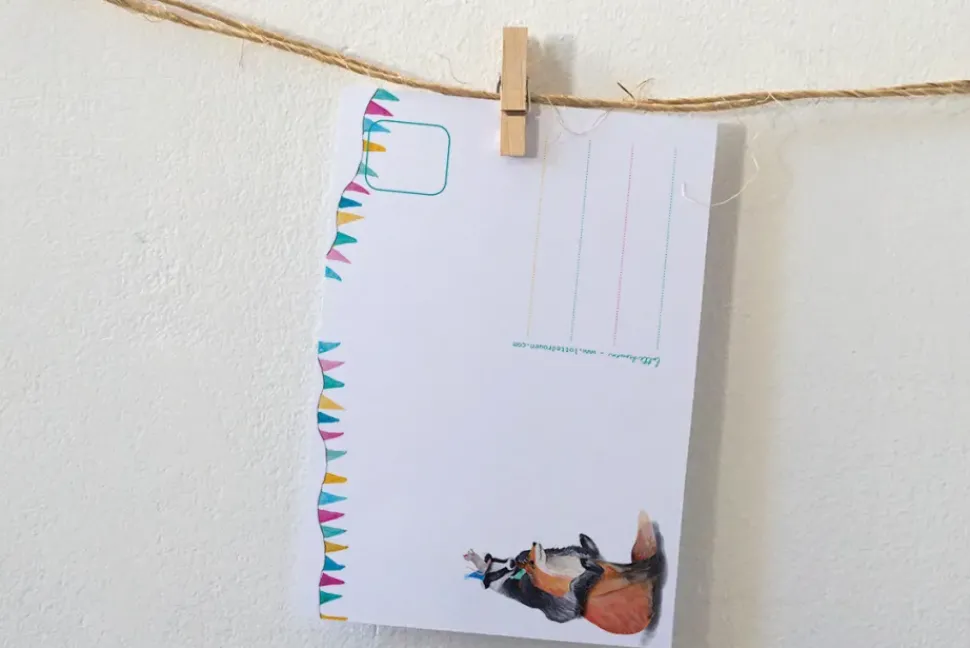 Lotte Drouen Ansichtkaart IJsbeer en Noorderlicht