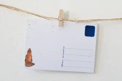 Lotte Drouen Ansichtkaart Sterren Kijken