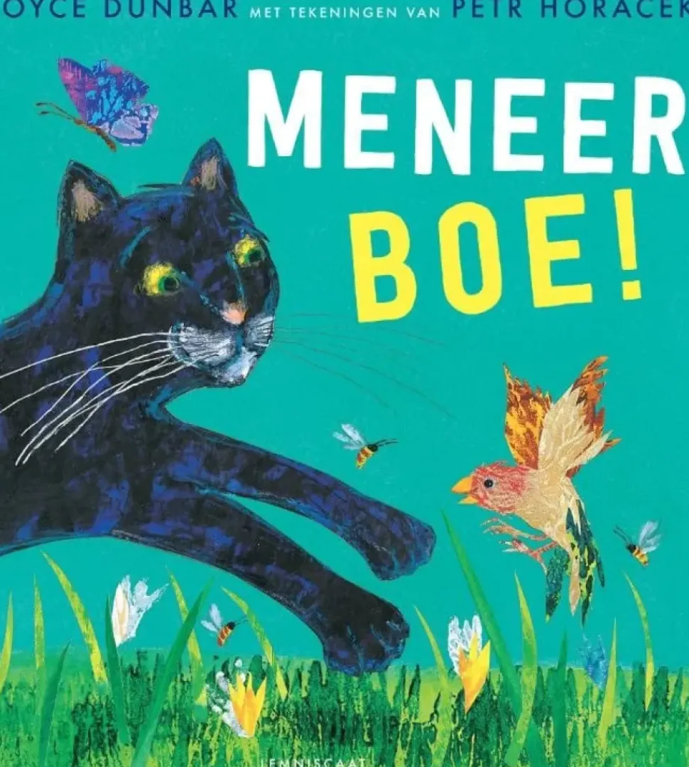 Meneer Boe!