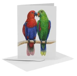 MiesToGo Wenskaart Edelpapegaai Duo