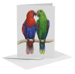 MiesToGo Wenskaart Edelpapegaai Duo