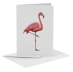 MiesToGo Wenskaart Flamingo