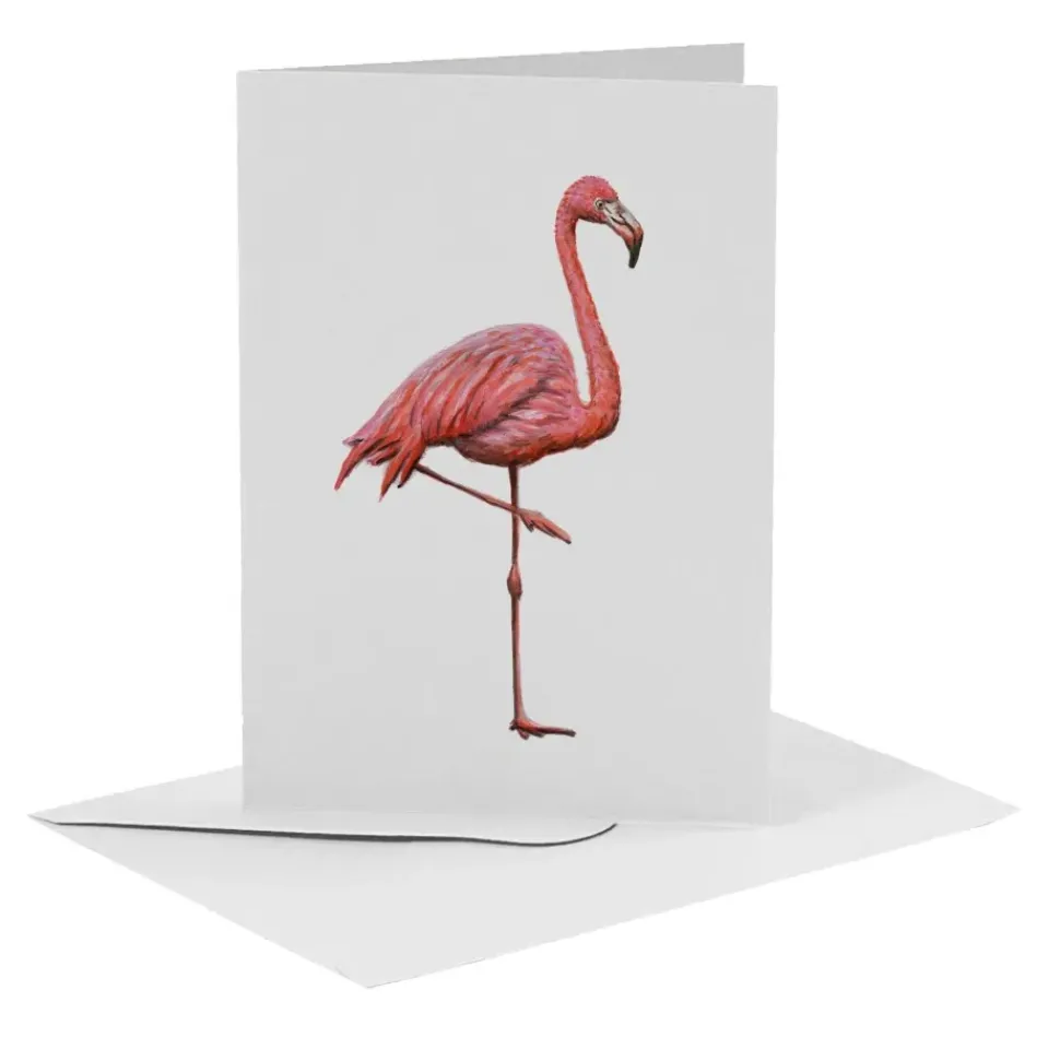 MiesToGo Wenskaart Flamingo