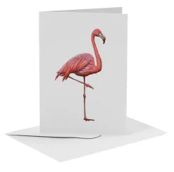 MiesToGo Wenskaart Flamingo