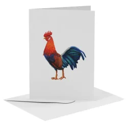 MiesToGo Wenskaart Haan