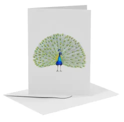 MiesToGo Wenskaart Pauw