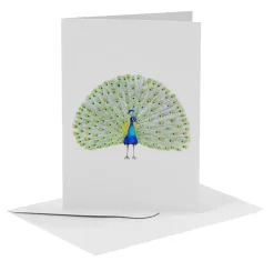 MiesToGo Wenskaart Pauw