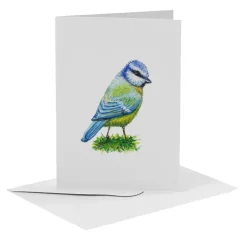 MiesToGo Wenskaart Pimpelmees