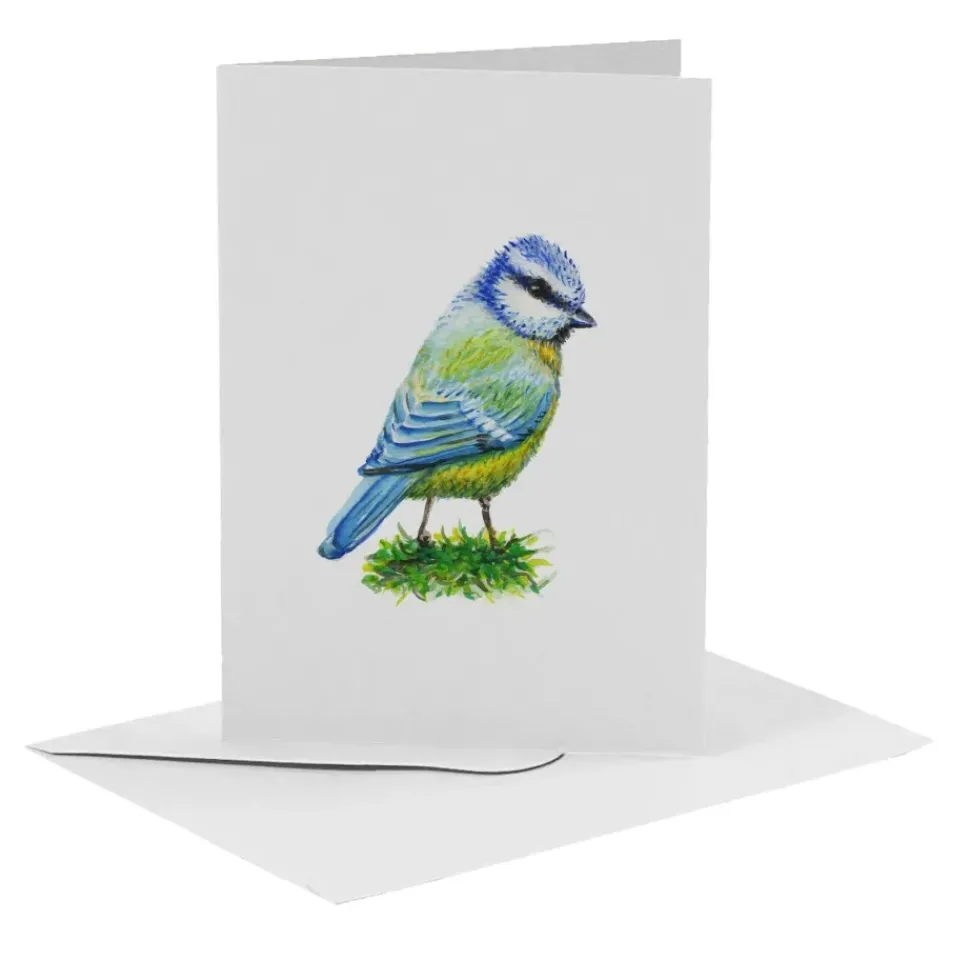 MiesToGo Wenskaart Pimpelmees