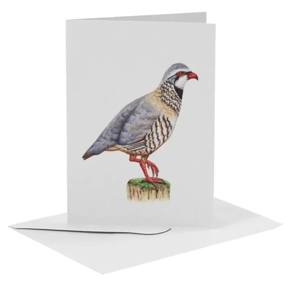 MiesToGo Wenskaart Rode Patrijs